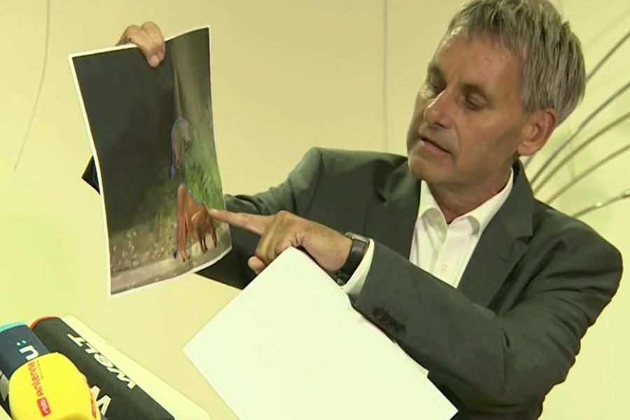 Michael Grubert, der Bürgermeister von Kleinmachnow, erklärt anhand von Bildern die anatomischen Unterschiede zwischen einer Löwin und einem Wildschwein. (Foto: Screenshot)