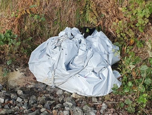 Ein gefundener Wildschweinkadaver, der mit Plastiktüten abgedeckt wurde, um andere Tiere fernzuhalten. (Foto: SVA)