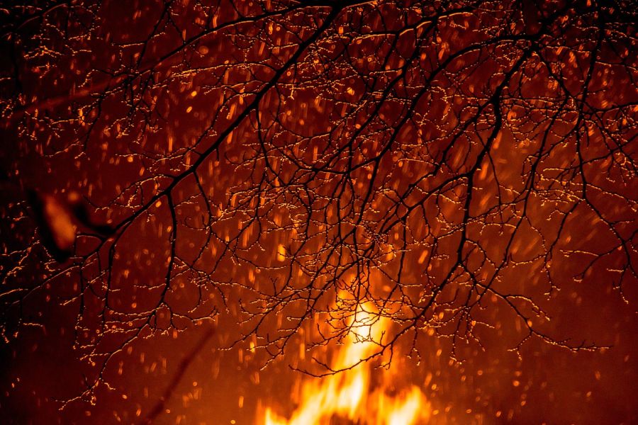 Feuer in einem Wald. (Symbolbild: Joanjo Puertos Muñoz auf Pixabay)