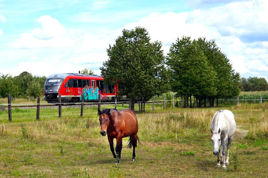 Zwei Pferde auf einer Koppel neben einer Bahnlineie, die gerade eine Regionalbahn befährt. (Symbolbild: Matthias Böckel auf Pixabay)